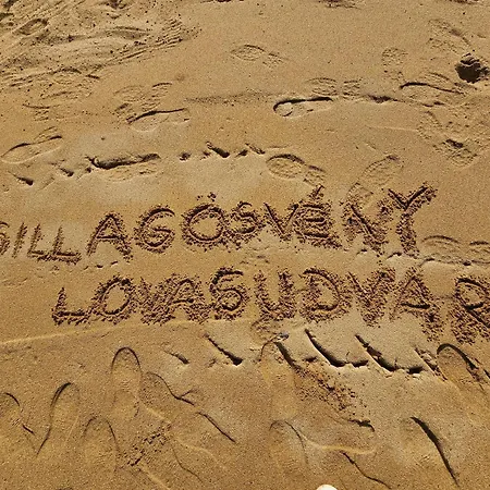 Csillagoesveny Lovasudvar Vendeghaz 아파트 Vasarosbec